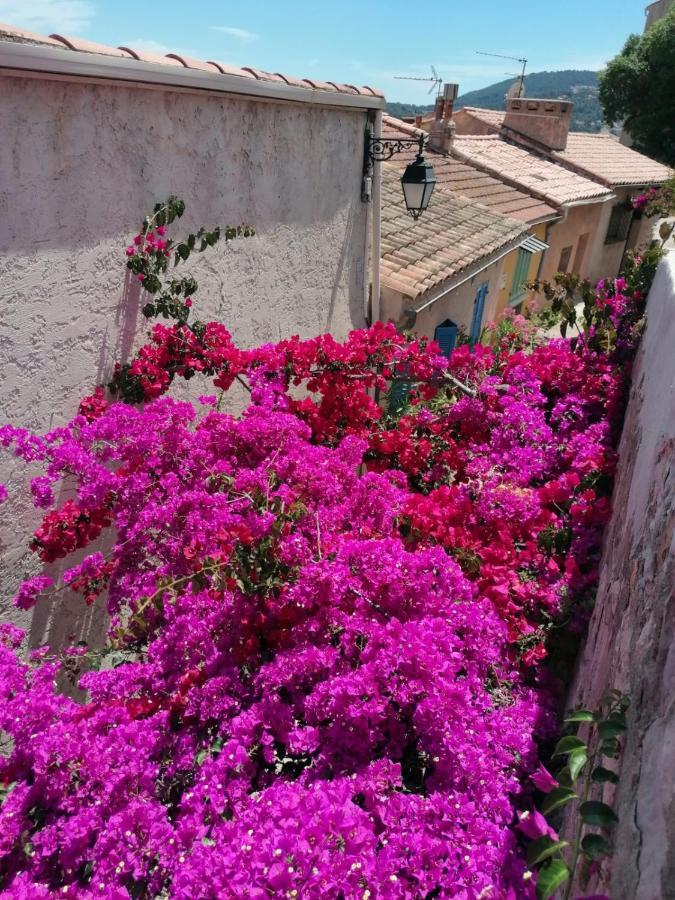 Beautiful Renovated Studio With View- Old Hyeres Bagian luar foto