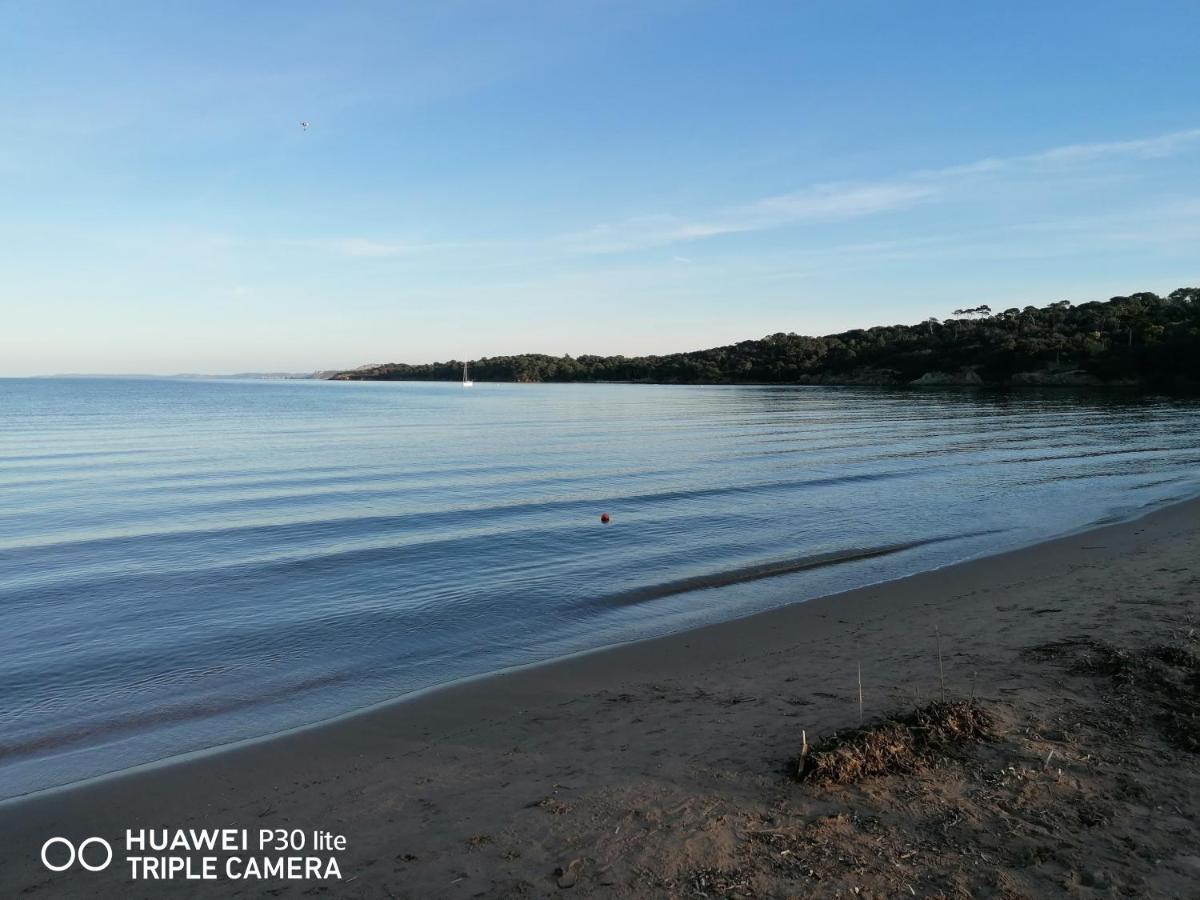 Beautiful Renovated Studio With View- Old Hyeres Bagian luar foto